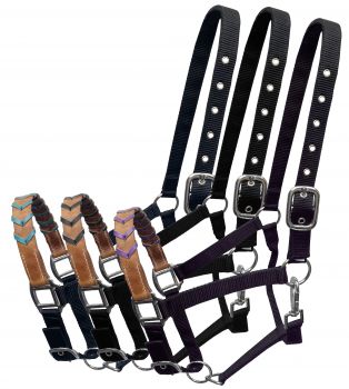 Showman Black Nylon halter with Argentina cow leather braided accent nose